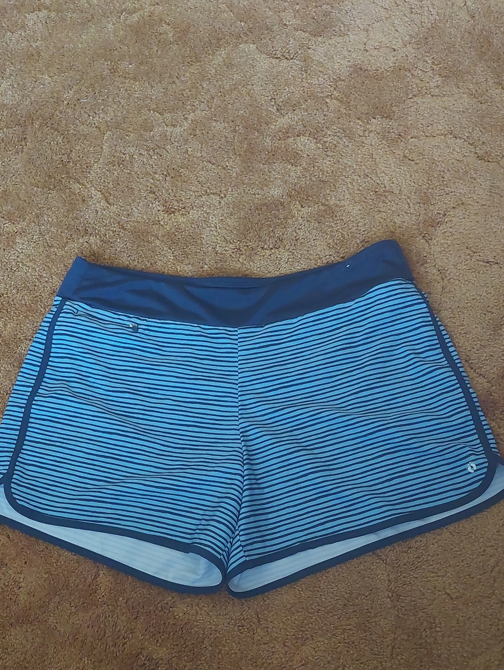 Hang Ten Blue Striped Women's Swim Shorts